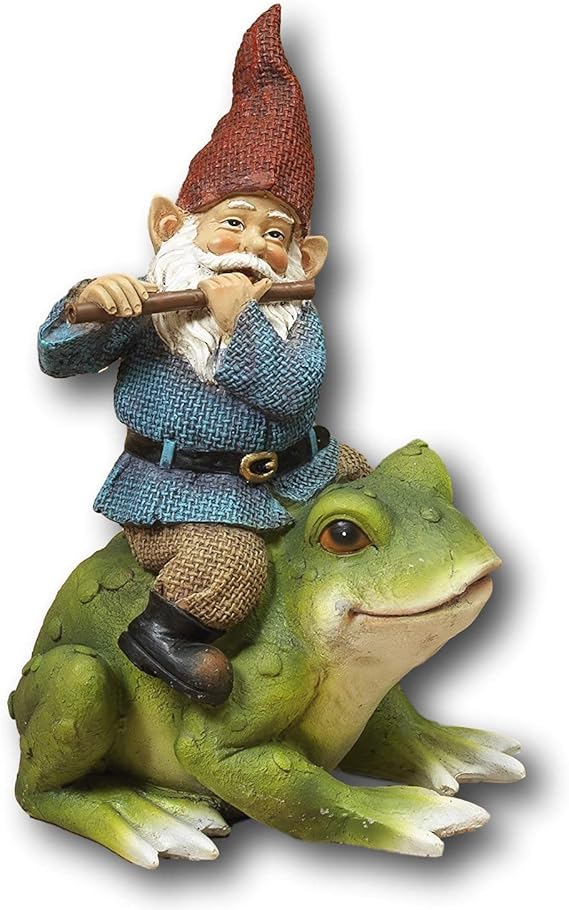 Amazon.com : 8" Darling Little Garden Gnomes Playing a Musical