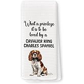 QZQE Funny Cavalier King Charles Spaniel Kitchen Towels, Cavalier King Charles Spaniel Gifts Dish Tea Towels for Kitchen, Dog Mom Lovers Owner Gifts Decorative Hand Towel 16x24 Inch