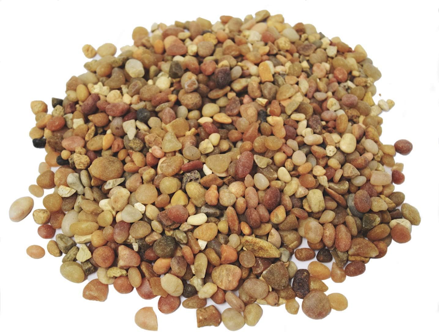 Hardscaping Materials - TerraGreen Creations - 1 lb - Washed Pea Gravel - Succulent Pebbles and Rocks for Plants - Planter and Fairy Garden. Great Fairy Garden Accessories