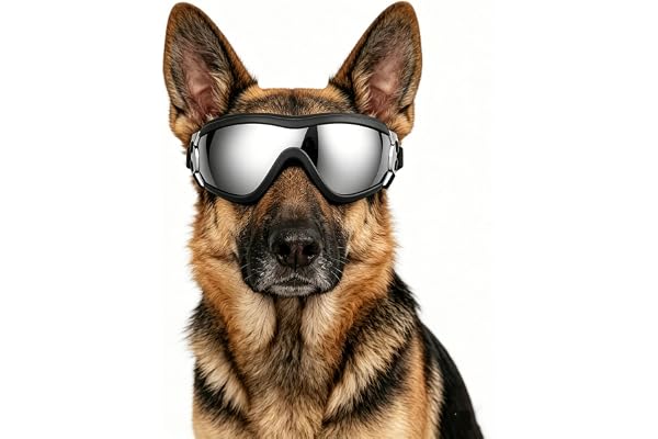 NAMSAN Dog Sunglasses for Medium to Large Dogs, UV Protection Dog Goggles Large Breed, Driving Sunglasses for Dogs Stick Head