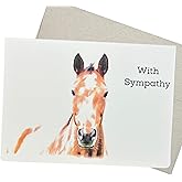 Groomers Margins Horse Sympathy Cards for Loss of Horses - Loss of Horse Sympathy Card, 7x5 Inch, 1 Blank Inside Card for Bereavement and Condolences, Ideal for Equine Veterinary Practice - 225