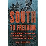 South to Freedom: Runaway Slaves to Mexico and the Road to the Civil War