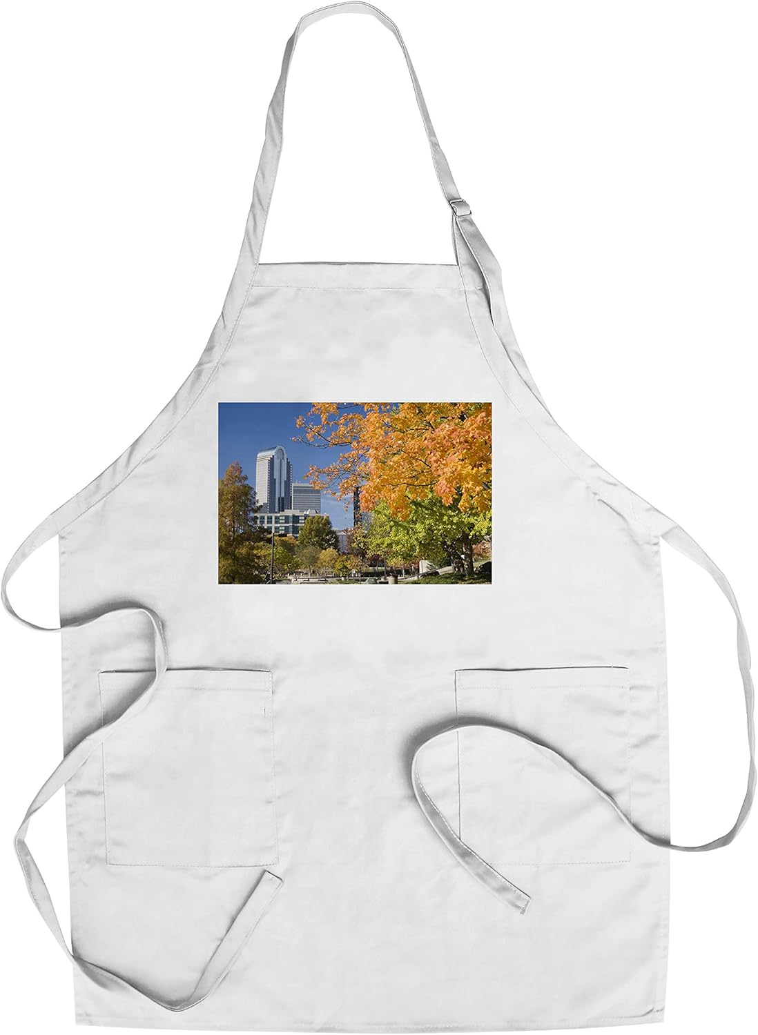 Best Office Team Charlotte Nc