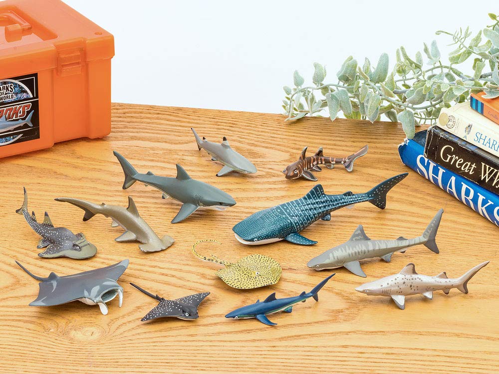 Mua カロラータ 立体図鑑 サメの仲間 フィギュア (12種 / 解説書