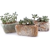 T4U 5.5 Inch Ceramic Succulent Pot Planter with Drainage Hole Set of 3, Stone Shape Rectangle Window Box Cactus Plant Containers Gift for Mom Sister Aunt Best for Home Office Table Desk Decoration