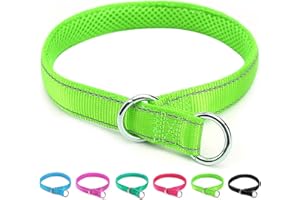 Mycicy Reflective Dog Choke Collar, Soft Nylon Training Slip Collar for Dogs (5/8" W x 15.5" L, Green)