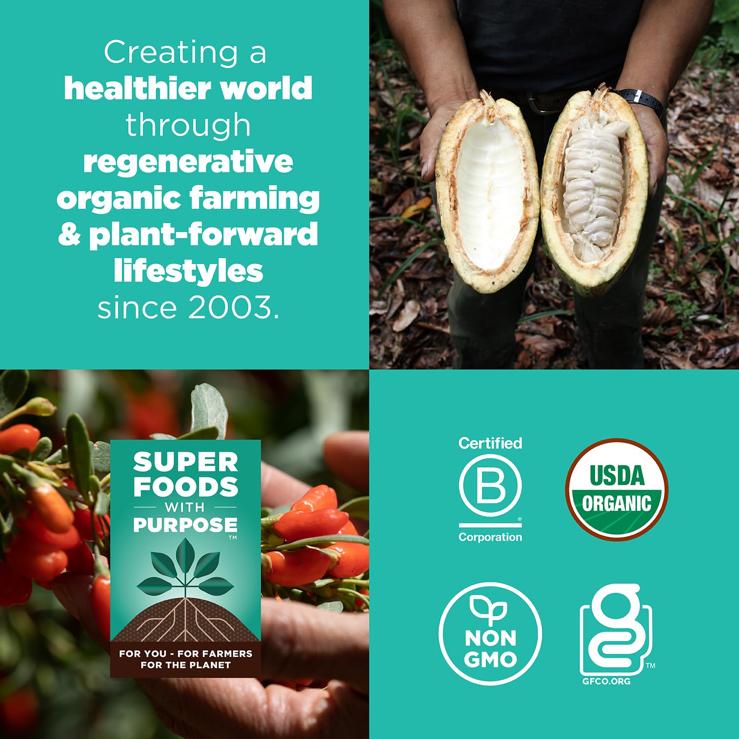 Navitas Organics Superfood Power Snacks, Cacao Goji, 8 oz. Bag, 11 Servings — Organic, Non-GMO, Gluten-Free