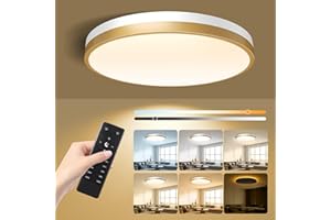 Lightania 13 Inch Flush Mount Ceiling Light with Remote Control & Night Light, 5CCT Dimmable Ceiling Light Fixture, 25W 2500LM 2700K-6500K Adjustable LED Ceiling Lights for Bedroom Kitchen, White Gold