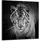SEVEN WALL ARTS Tiger Canvas Wall Art Black and White Wildlife Pictures Blue Eyed Tiger Prints on Canvas Modern Animal Poster Painting for Bedroom Office Bathroom Living Room Decor 24x24inch