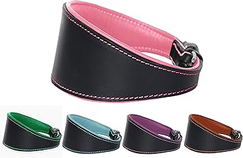 lurcher collars amazon