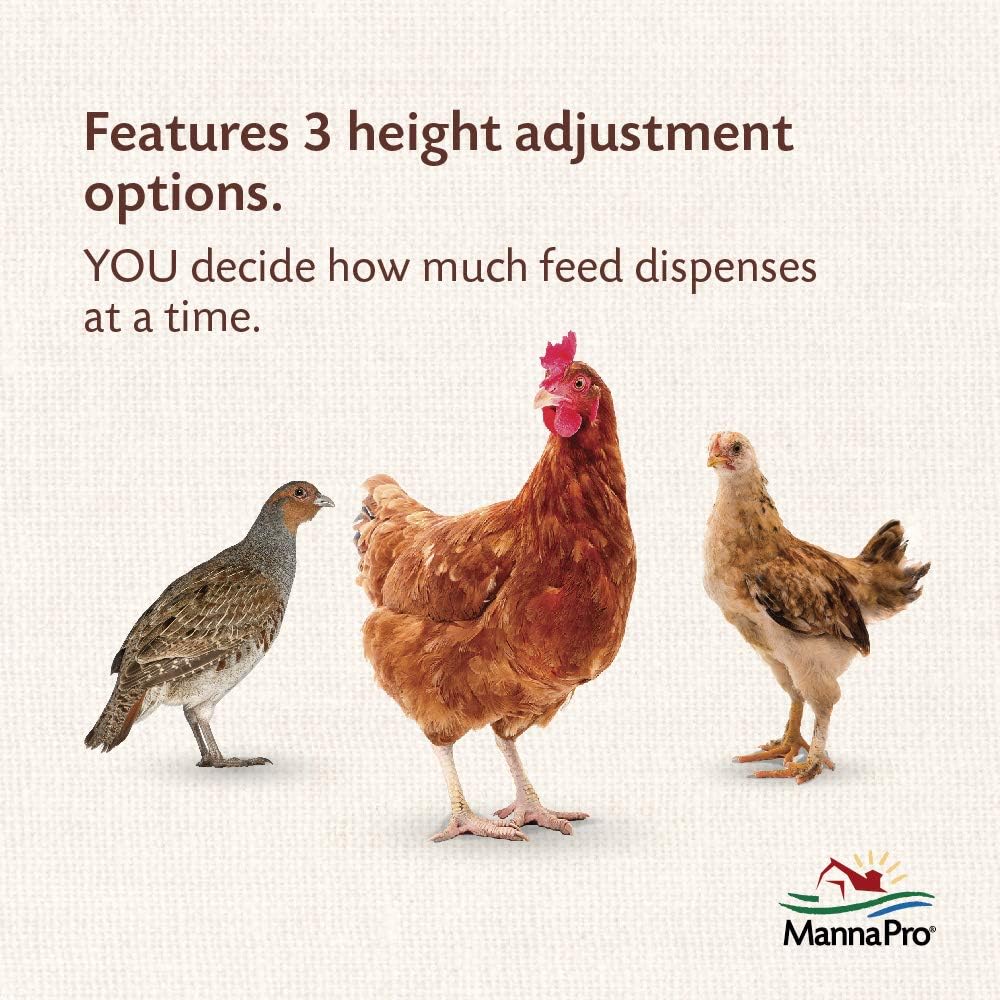 Harris Farms 1000293 Galvanized Hanging Poultry Feeder, 15 lbs, Metal : Chicken Feeders And Waterers : Garden & Outdoor