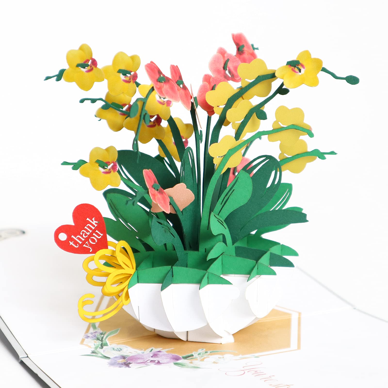 CUTE POPUP - Orchid Pop Up Card, Mother's Day Card with Colorful Orchids Basket Design, Birthday Card Pop Up, Thinking of You Card, 1st Anniversary Card - Perfect Present for Mom for Decor on Table