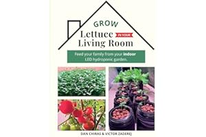 Grow Lettuce in Your Living Room