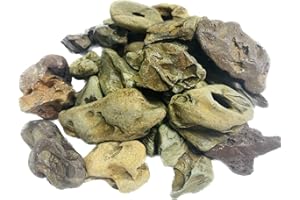 ZYYRT Natural Stone Aquarium Decoration 4.4 lb Dragon Stone Aquascaping Rock Mixed Sizes for Micro Landscape Fish Tank Decor
