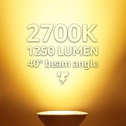 TORCHSTAR PAR38 LED Flood Light Outdoor