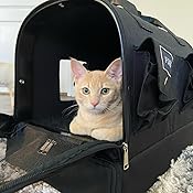 all in one cat carrier