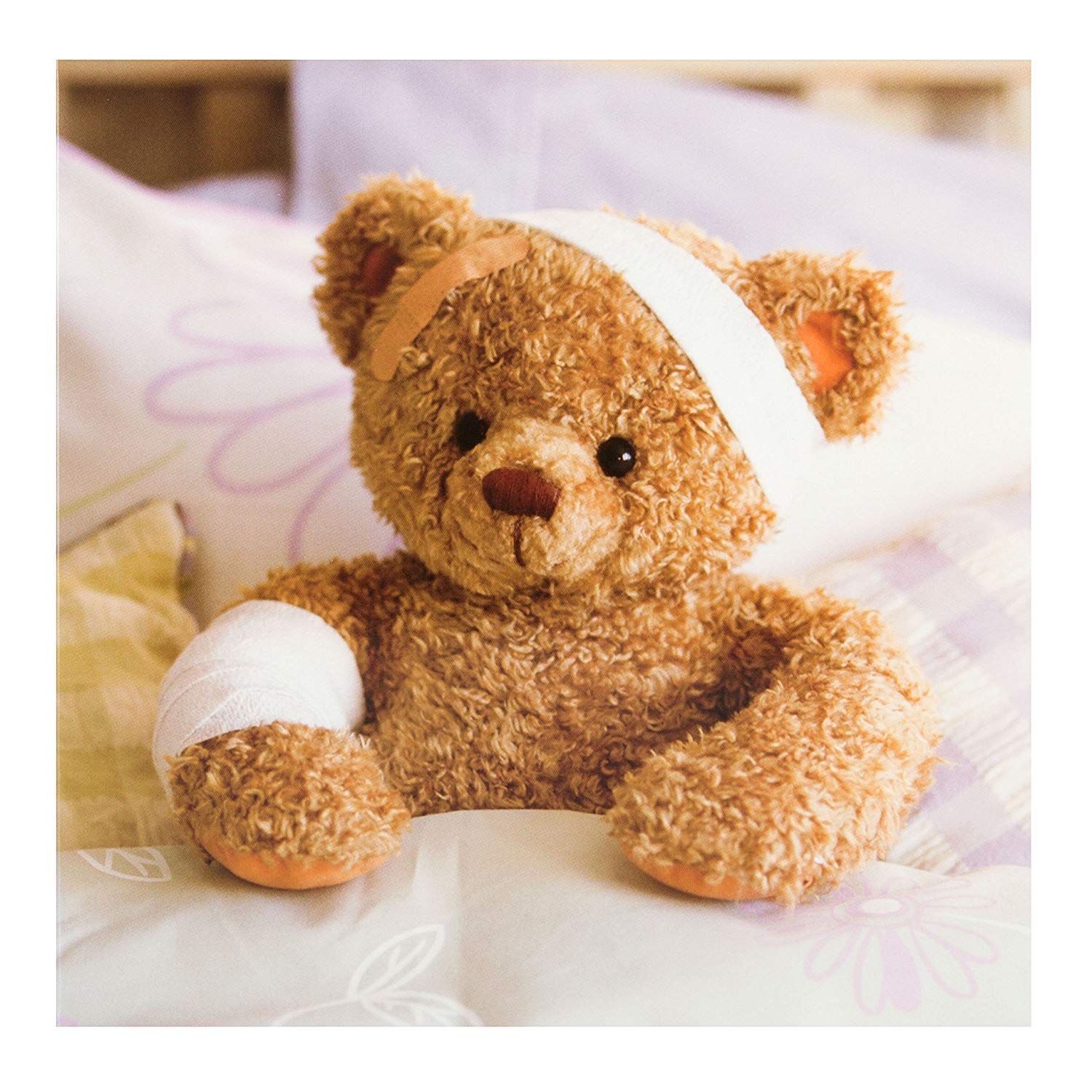Open 'Gallery Card from The Hallmark Studio - Photographic Teddy Bear Design - Get Well, Thinking of You