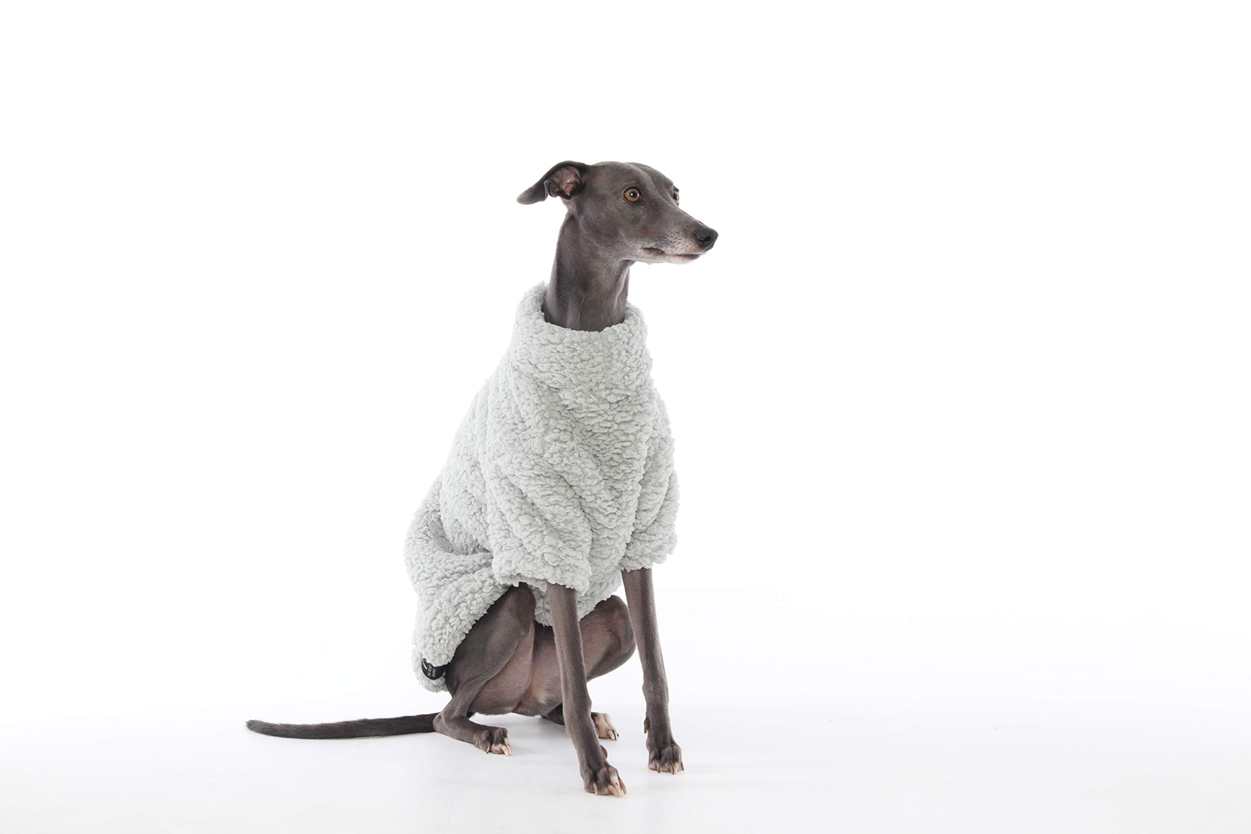 sighthound jumper