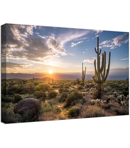 Amazon.com: wall26 Canvas Print Wall Art Arizona Southwest Canyon