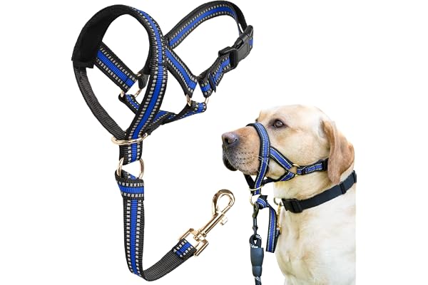 BARKLESS Muzzle Leash for Heavy Pullers, No Pull Stylish Head Halter | Gentle Dog Face Harness Stops Pet Pulling and Choking
