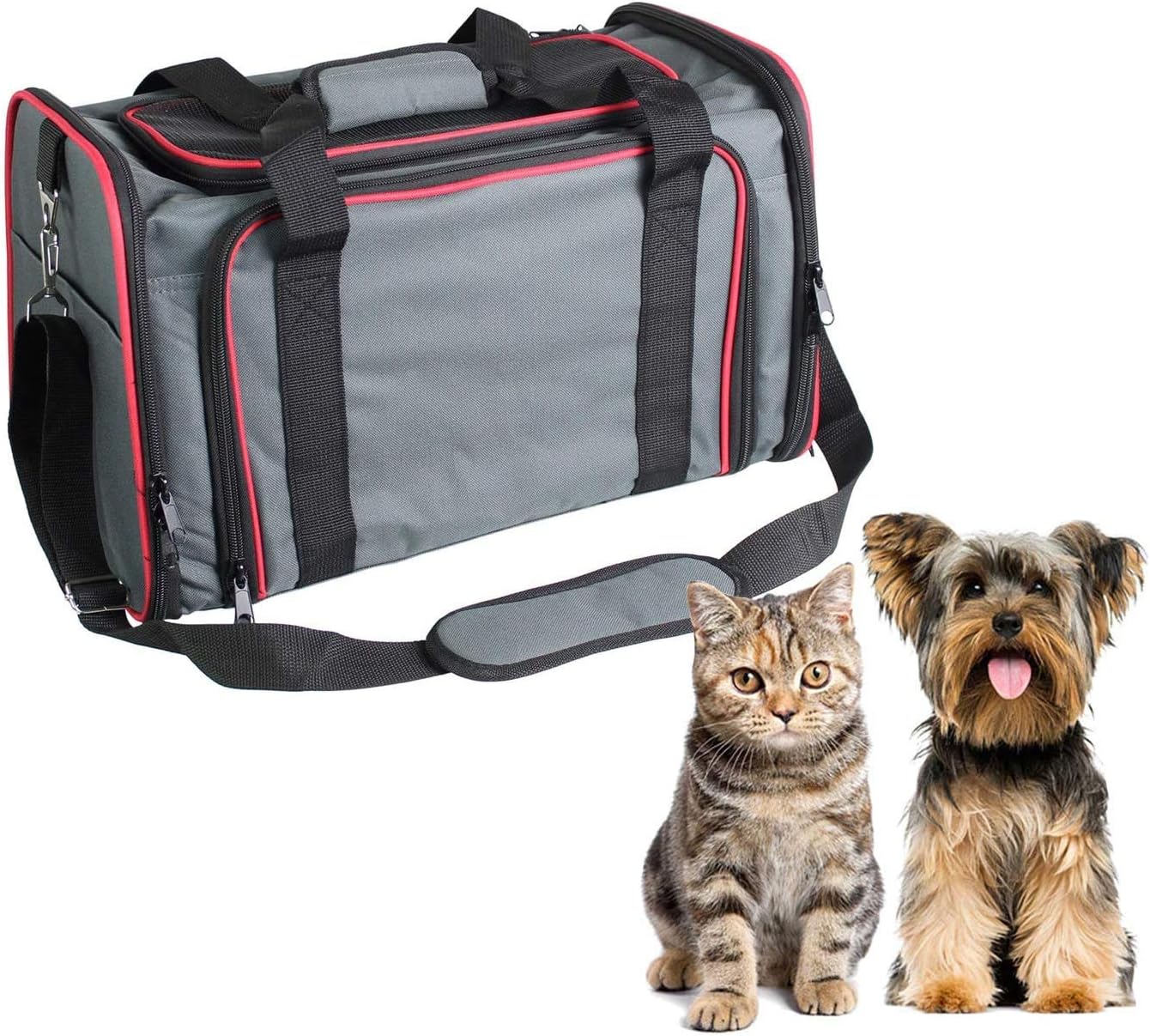 airline approved dog carrier 20 lbs