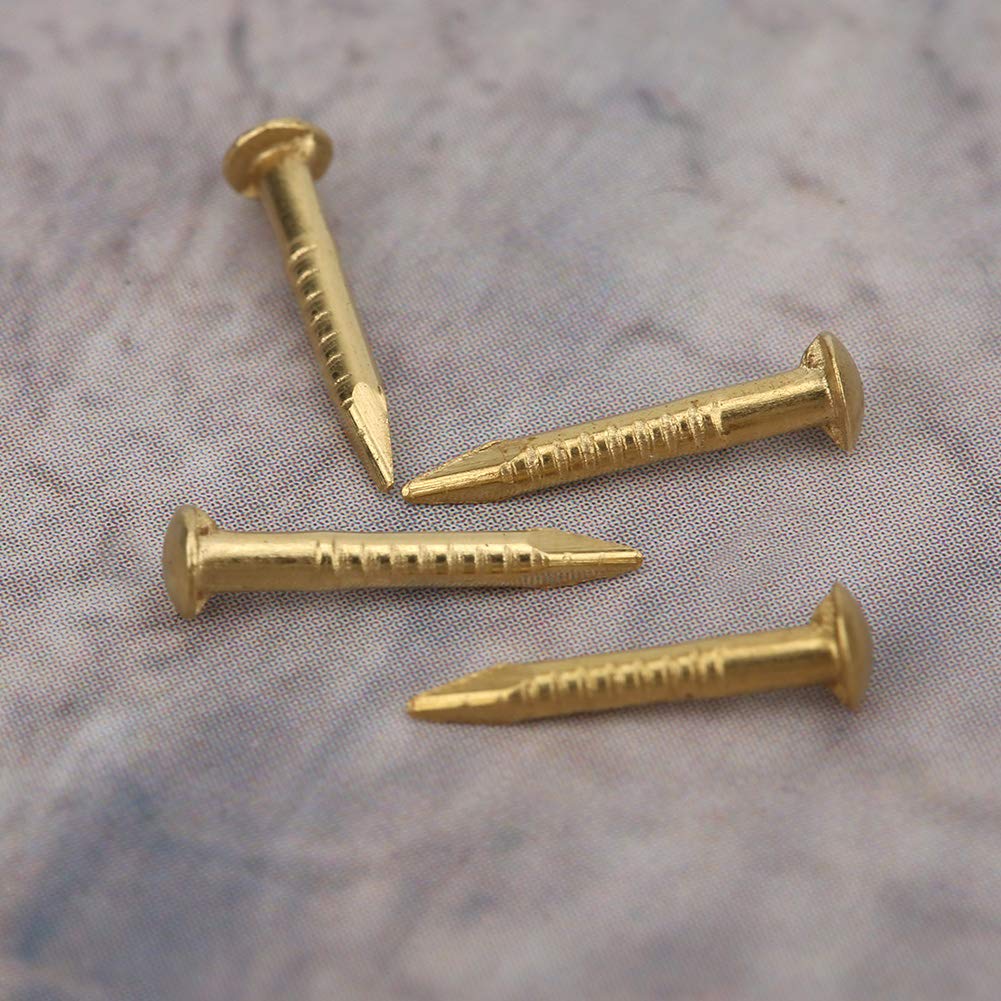 100 PCS Round Head Nail Vintage Brass Nail, Hardware Nail Assortment Kit, DIY Craft Installation Tacks(10mm)