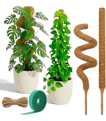 Amazon.com : SuperMoss (22225) Moss Pole / Plant Stake, Fresh