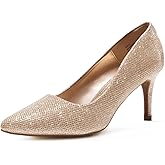 DREAM PAIRS Women's High Stiletto Heels Closed Pointed Toe Dress Pumps Shoes for Wedding Work Office Business, 3 Inches