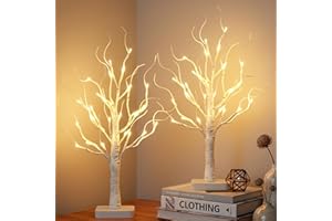 PEIDUO Birch Tree for Christmas Decorations with Timer, Lighted Birch Tree Prelit Fall Decor with 24 LED Warm White Lights, A