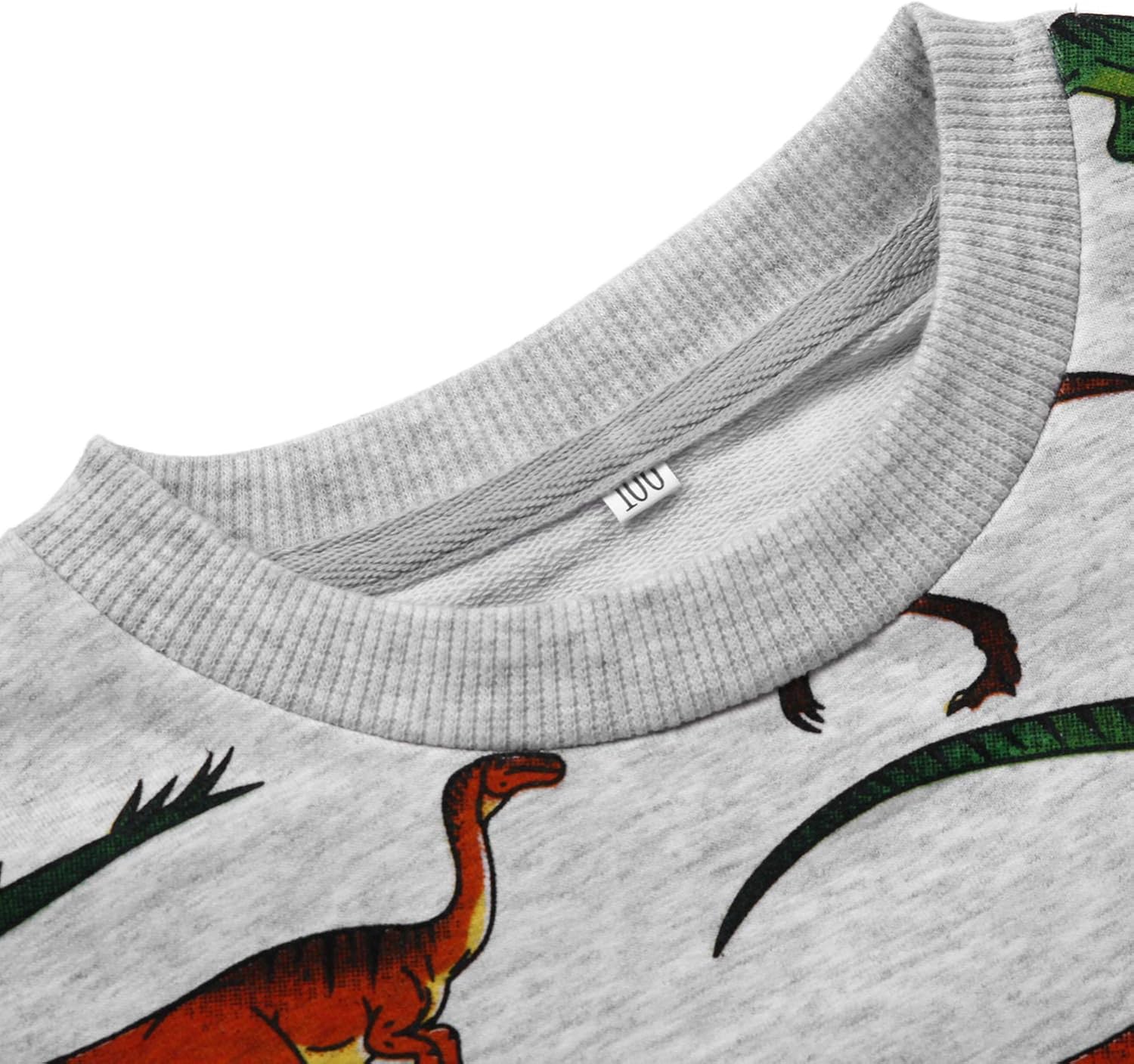 Toddler Boys Dinosaur Sweatshirts Cartoon Winter Long Sleeve Kids Sport Outdoor Pullover Tops Tees 2T-8T: Clothing