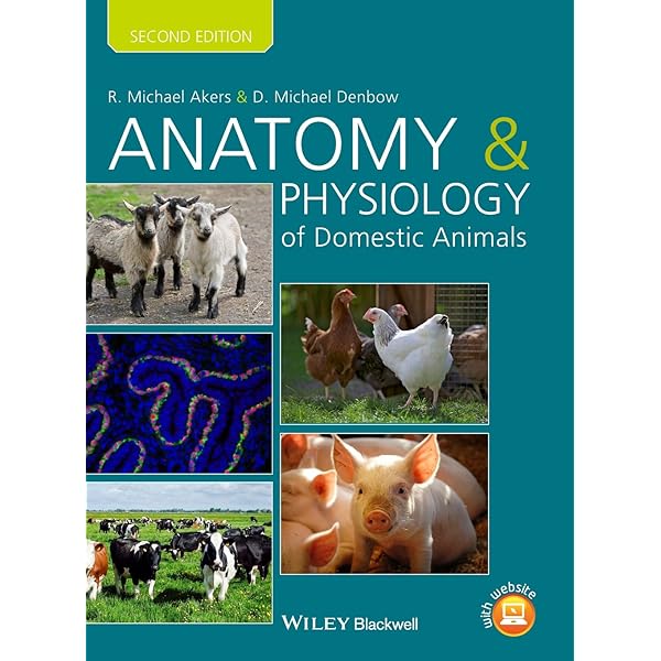 Veterinary Anatomy of Domestic Animals: Textbook and Colour Atlas