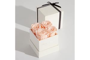 FLEUR DE ZEN Forever Roses | 100% Real Preserved Roses, Fresh Flowers | Preserved Flowers for Delivery Prime | Mothers Day, Gifts for Her | Gift-Ready Forever Flowers Roses in a Box, Champagne Eternity Roses