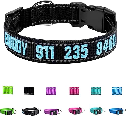 embroidered dog collars amazon