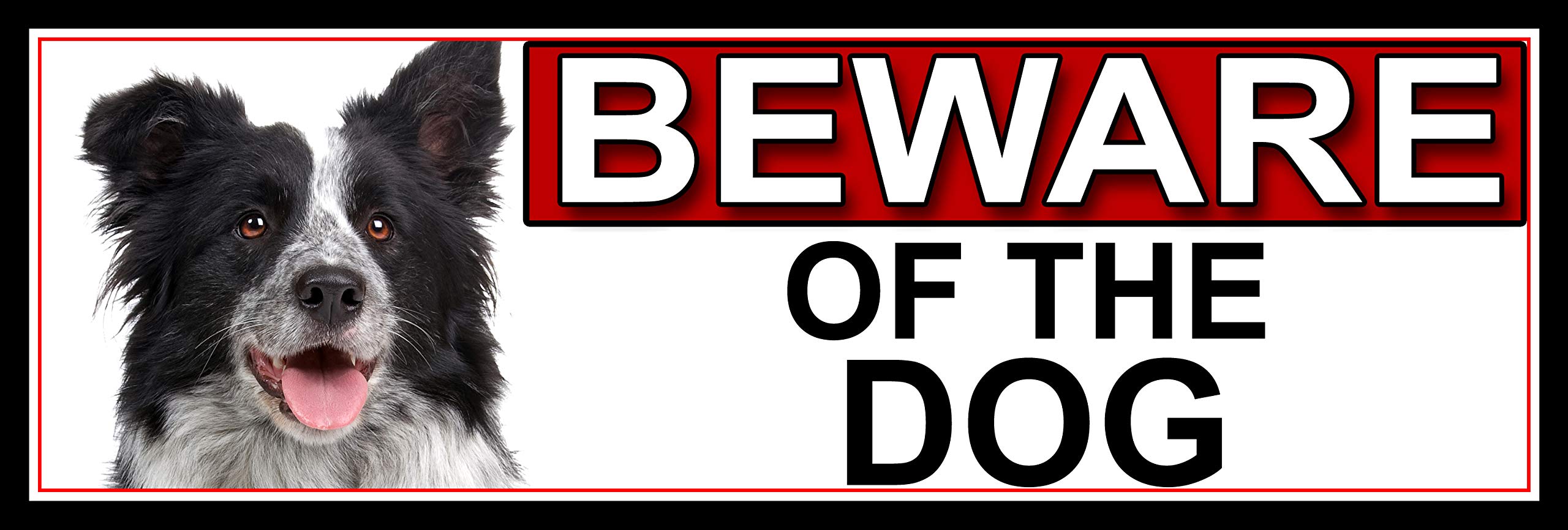 SHAWPRINT Border Collie BEWARE OF THE DOG METAL GATE SIGN 266mm x 87m. (503H2)