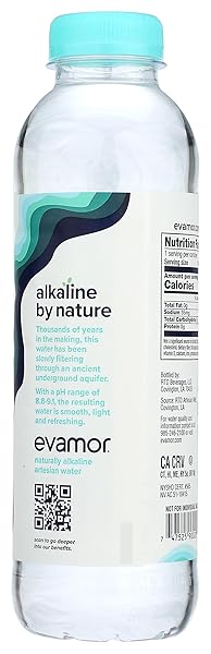 EVAMOR ARTESIAN WATER, 20 OZ