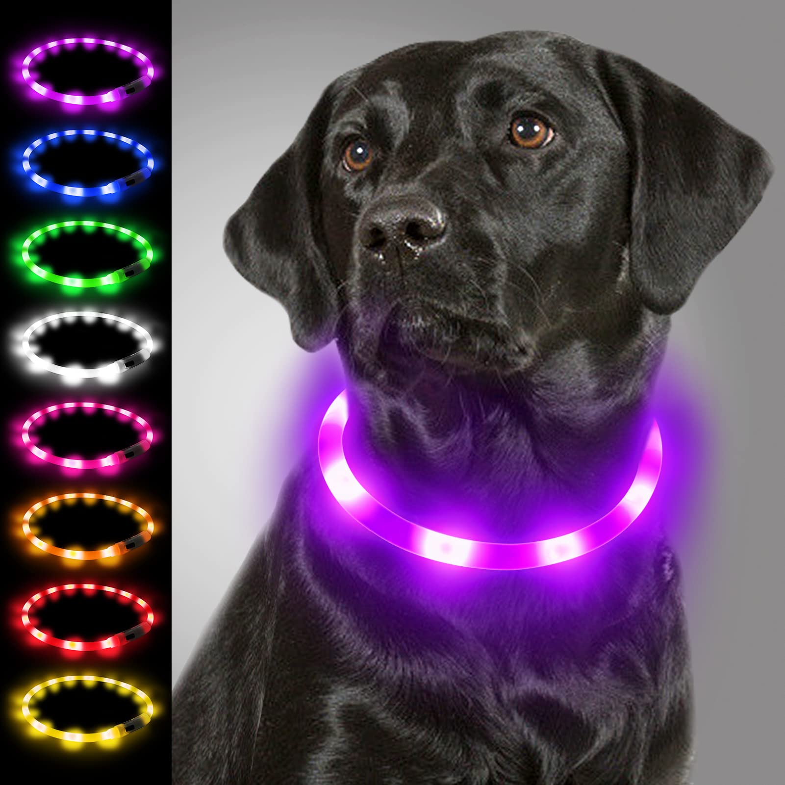 Joytale Light Up Dog Collar, Flashing LED for Night Walking, Rechargeable Glow Collars for Puppy Small Medium and Large Dogs, Purple