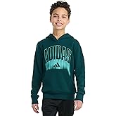 adidas boys Long Sleeve Graphic Fleece Pullover Hoodie
