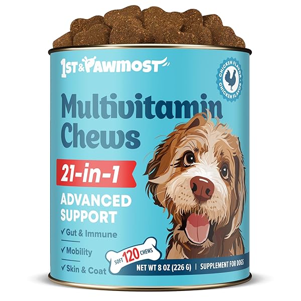 21-IN-1 DOG MULTIVITAMIN – DOG VITAMINS AND SUPPLEMENTS...
