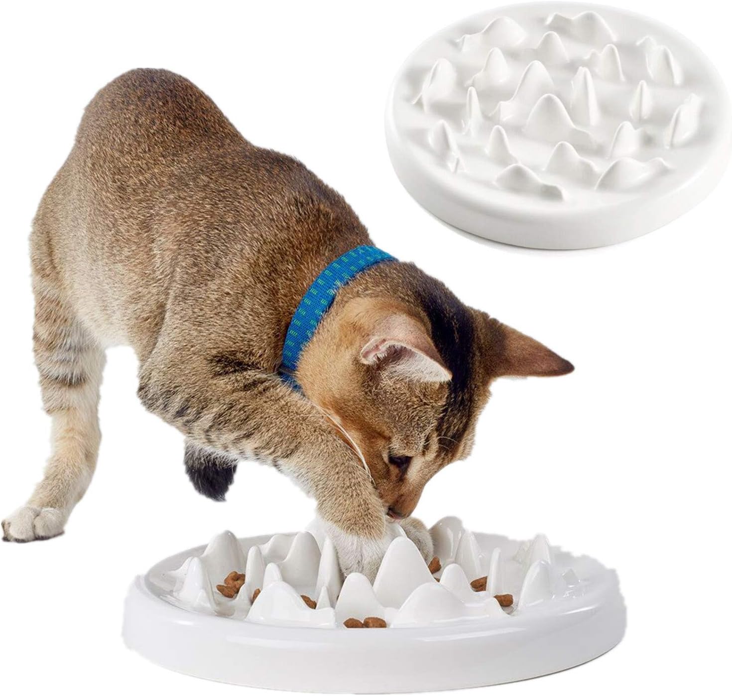 petsafe stay and play transmitter beeping