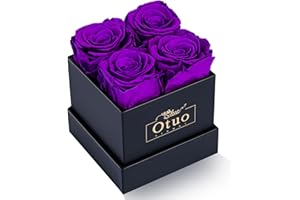 Otuo Preserved Roses in Gift Box, Real Eternal Rose Flower Gifts for Girlfriend, Mom, Women, Wife, Birthday Anniversary and Valentine's Day (Purple)