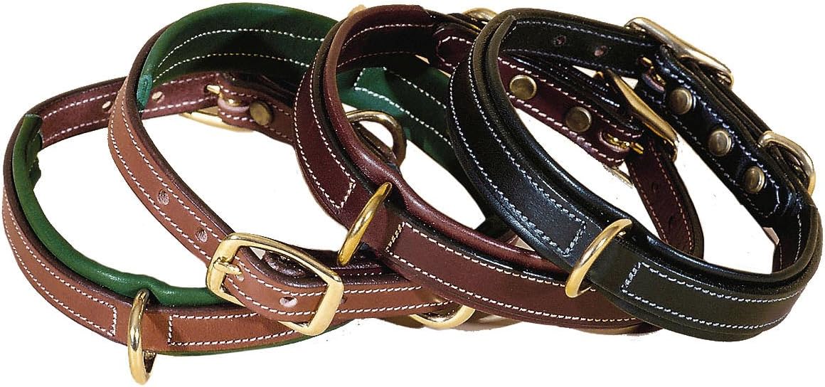 tory leather dog collar