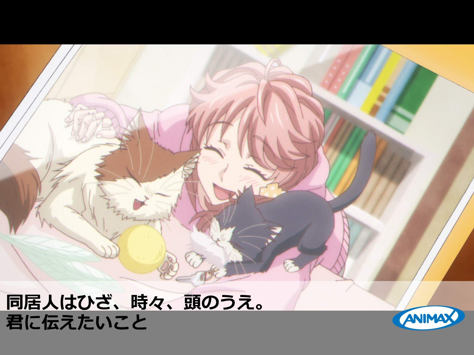 Amazon Co Jp 同居人はひざ 時々 頭のうえ を観る Prime Video