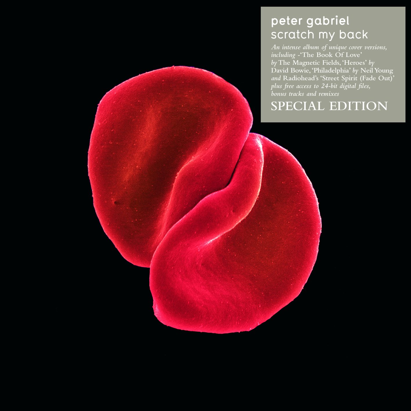 Peter Gabriel Scratch My Back Music Peter Gabriel Scratch My Back Music