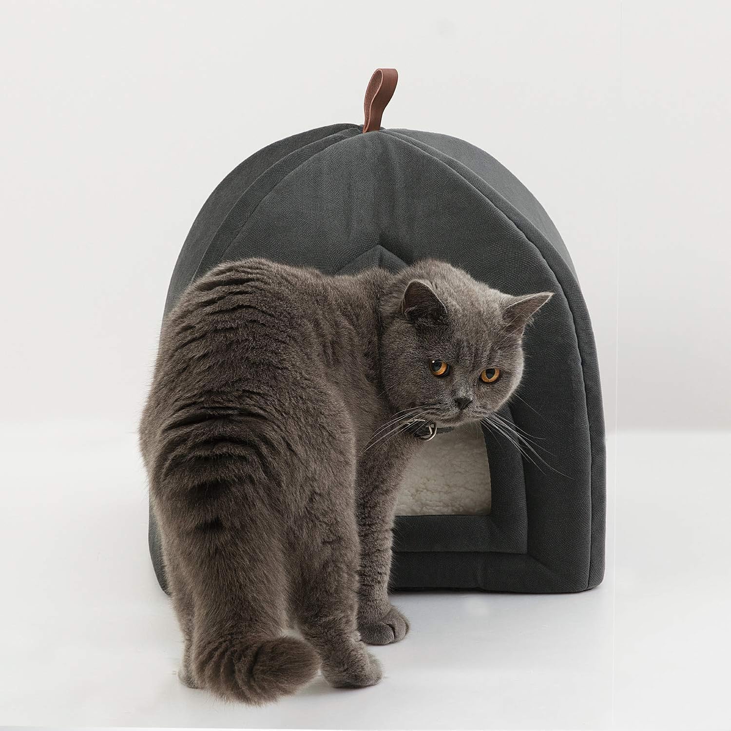 Bedsure Pet Tent Cave Bed for Cats/Small Dogs - 15x15x15 inches 2-in-1 Cat Tent/Kitten Bed/Cat Hut with Removable Washable Cushioned Pillow - Microfiber Indoor Outdoor Pet Beds, Dark Grey : Pet Supplies