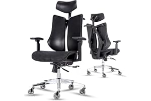 BV BONNE VIE BV Ergonomic Dual Backrests Office Chair, Lumbar Support Office Desk Chair Back Support, Breathable mesh Office Chair 3D Adjustable Armrest(Mesh Black)