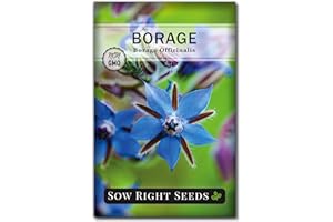 Sow Right Seeds - Borage Seed to Plant - Non-GMO Heirloom Seeds - Full Instructions for Easy Planting and Growing a Kitchen Herb Garden - Indoors or Outdoor - Great Gardening Gift (1)