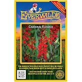 Everwilde Farms - 2000 Cardinal Flower Native Wildflower Seeds - Gold Vault Seed Packet