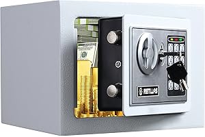 RETLLAS White Safe Box 0.23 Cubic Feet Electronic Digital Mini Cabinet Safes Solid Alloy Steel Office Hotel Home Safe Lock Box for Cash Jewelry Storage