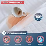 Wrappybag Waterproof Mattress Protector 90x190 cm Encased Bed Bug Dust Mite view 3
