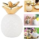 Pineapple Coin Piggy Bank Decorative Ceramic Pineapples Shaped Save Money Cans Cute Money Boxes for Pineapple Theme Party Decor Girls Kid's Children Adults Birthday Gifts (White)